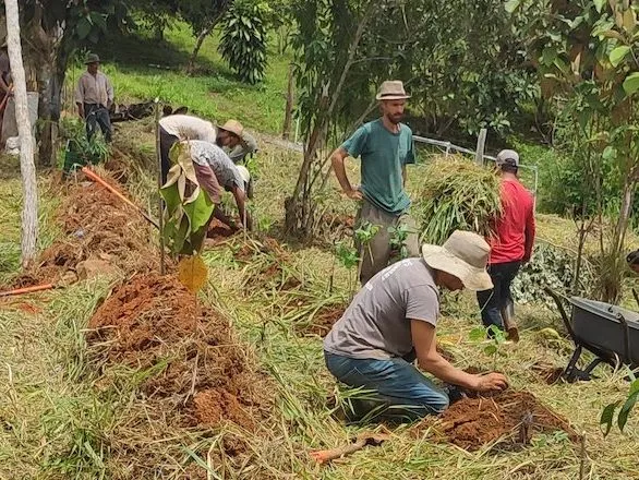 Work crew implementing the planting design on site