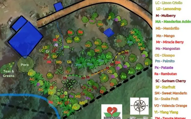 Hand-drawn food forest mapping overlay used to plan a retrofit design