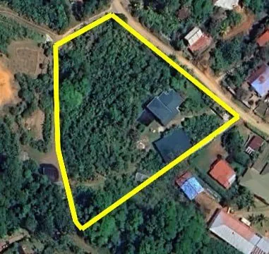 Richie's Homestead after regeneration