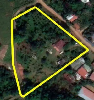 Richie's Homestead before regeneration
